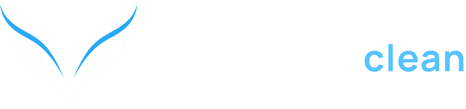 VelluxClean Aviation Detailing
